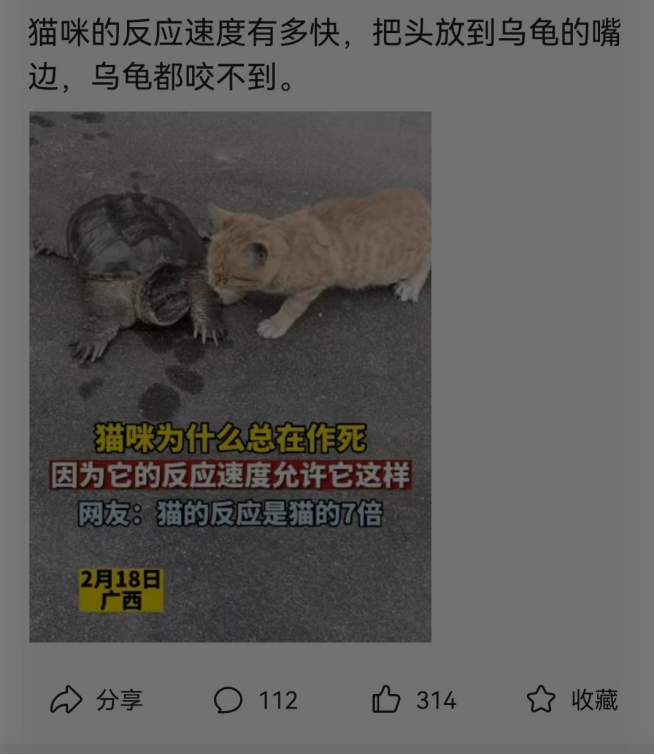 最近整理资料,发现这个项目一直在被做