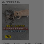 老牌项目，一天半实操全流程，看完就会