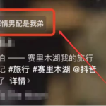 不起眼的新出的小说推文抖,效果比想象好