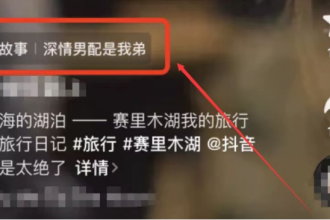不起眼的新出的小说推文抖,效果比想象好