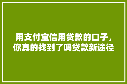 用支付宝信用贷款的口子，你真的找到了吗贷款新途径