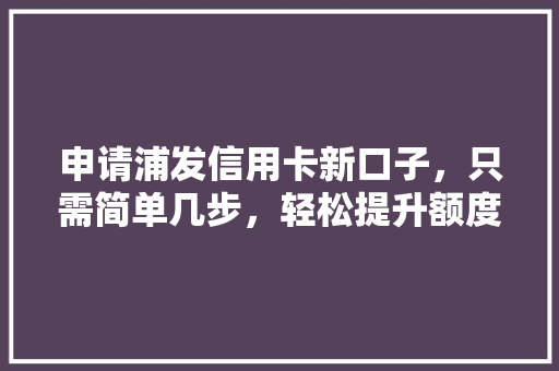 申请浦发信用卡新口子，只需简单几步，轻松提升额度