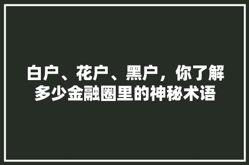 白户、花户、黑户，你了解多少金融圈里的神秘术语  第1张