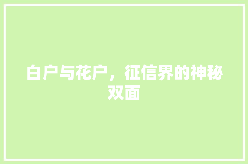 白户与花户，征信界的神秘双面