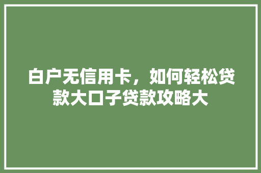 白户无信用卡，如何轻松贷款大口子贷款攻略大