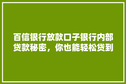 百信银行放款口子银行内部贷款秘密，你也能轻松贷到款