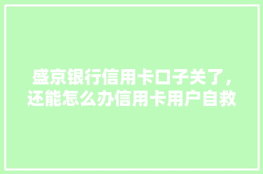 盛京银行信用卡口子关了，还能怎么办信用卡用户自救攻略