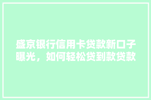 盛京银行信用卡贷款新口子曝光，如何轻松贷到款贷款攻略