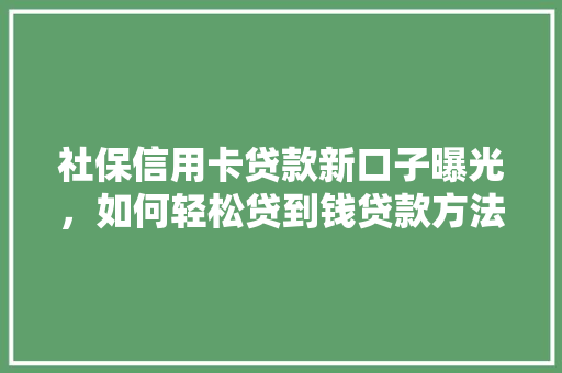 社保信用卡贷款新口子曝光，如何轻松贷到钱贷款方法与注意事项