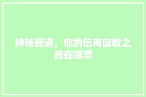神秘通道，你的信用回收之路在哪里