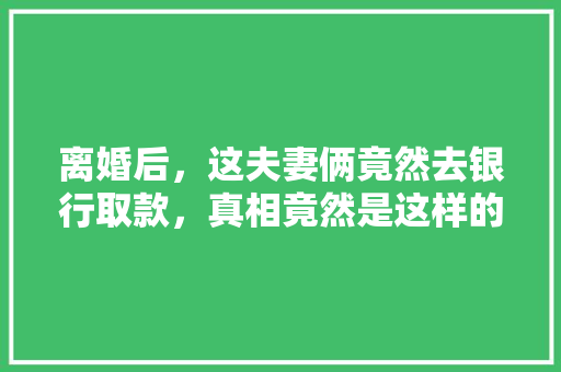 离婚后，这夫妻俩竟然去银行取款，真相竟然是这样的
