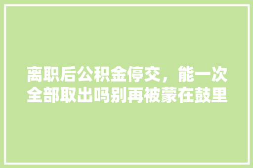 离职后公积金停交，能一次全部取出吗别再被蒙在鼓里了