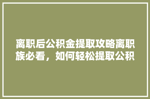 离职后公积金提取攻略离职族必看，如何轻松提取公积金