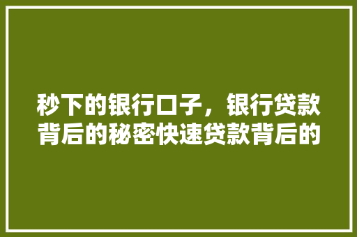 秒下的银行口子，银行贷款背后的秘密快速贷款背后的真相