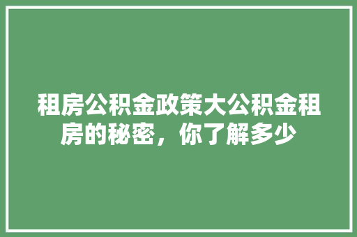 租房公积金政策大公积金租房的秘密，你了解多少