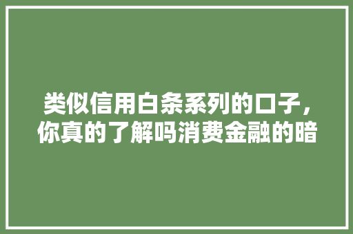类似信用白条系列的口子，你真的了解吗消费金融的暗流涌动