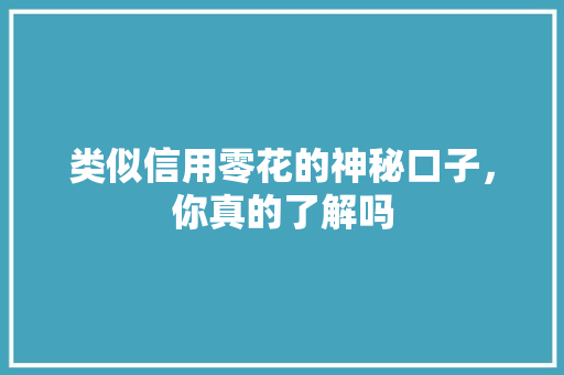 类似信用零花的神秘口子，你真的了解吗