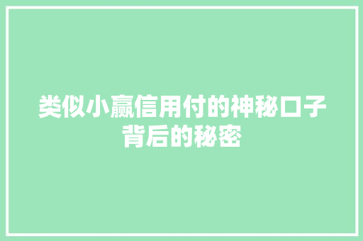 类似小赢信用付的神秘口子背后的秘密