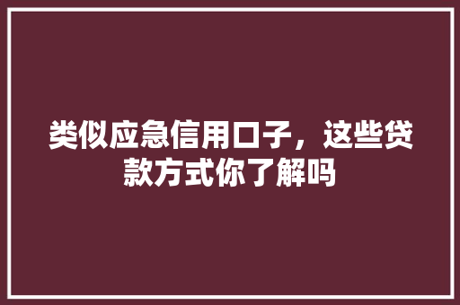 类似应急信用口子，这些贷款方式你了解吗