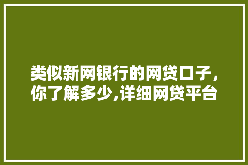 类似新网银行的网贷口子，你了解多少,详细网贷平台那些事儿