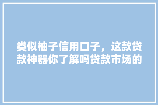 类似柚子信用口子，这款贷款神器你了解吗贷款市场的黑科技