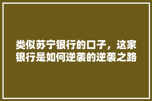类似苏宁银行的口子，这家银行是如何逆袭的逆袭之路