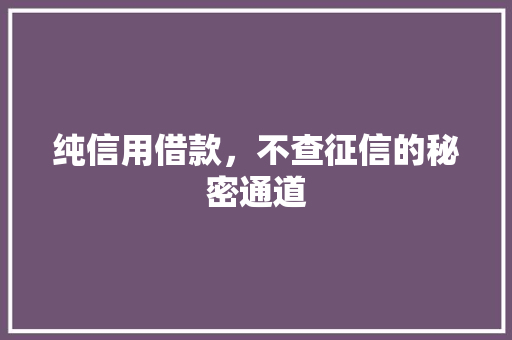 纯信用借款，不查征信的秘密通道