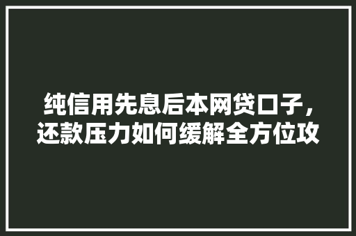 纯信用先息后本网贷口子，还款压力如何缓解全方位攻略大