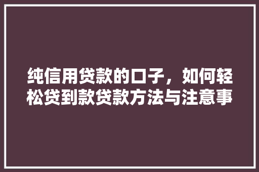 纯信用贷款的口子，如何轻松贷到款贷款方法与注意事项