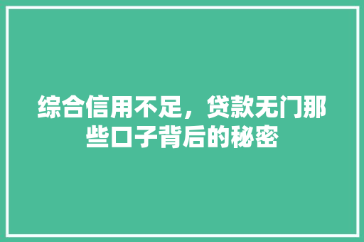 综合信用不足，贷款无门那些口子背后的秘密