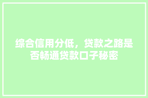 综合信用分低，贷款之路是否畅通贷款口子秘密
