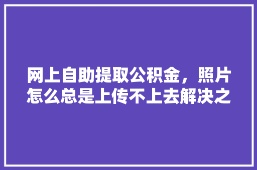 网上自助提取公积金，照片怎么总是上传不上去解决之路