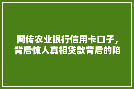 网传农业银行信用卡口子，背后惊人真相贷款背后的陷阱