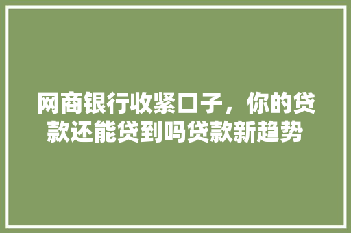 网商银行收紧口子，你的贷款还能贷到吗贷款新趋势