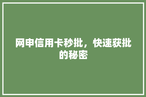 网申信用卡秒批，快速获批的秘密