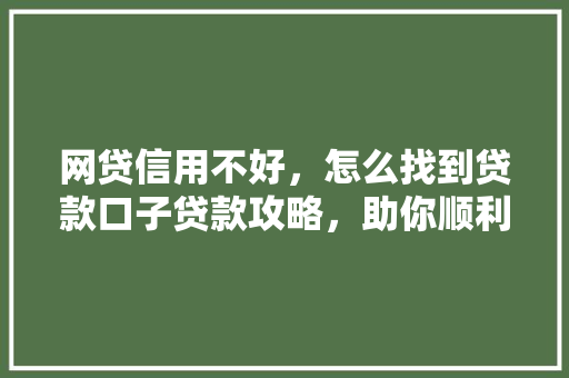 网贷信用不好，怎么找到贷款口子贷款攻略，助你顺利贷款