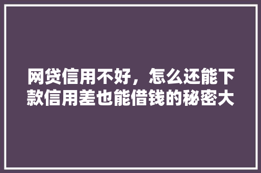 网贷信用不好，怎么还能下款信用差也能借钱的秘密大