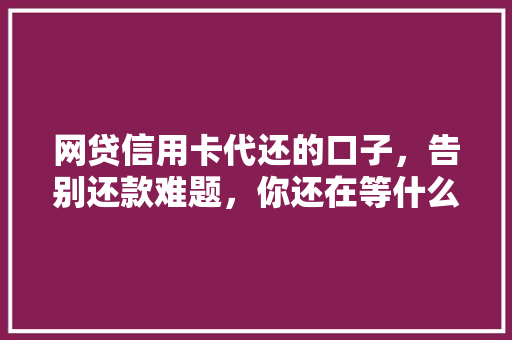 网贷信用卡代还的口子，告别还款难题，你还在等什么