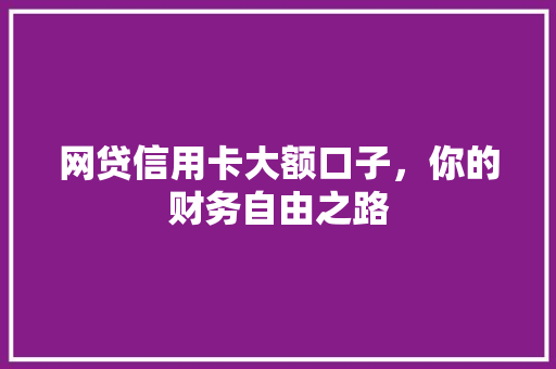网贷信用卡大额口子，你的财务自由之路