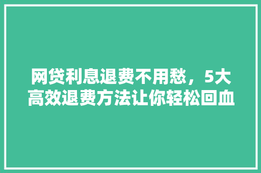 网贷利息退费不用愁，5大高效退费方法让你轻松回血