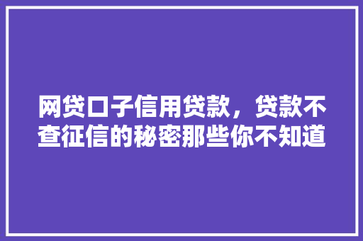 网贷口子信用贷款，贷款不查征信的秘密那些你不知道的贷款方法