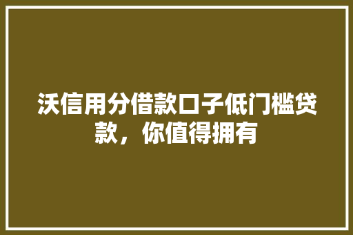 沃信用分借款口子低门槛贷款，你值得拥有