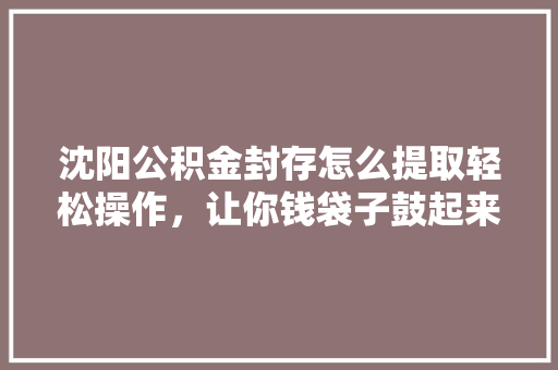 沈阳公积金封存怎么提取轻松操作，让你钱袋子鼓起来