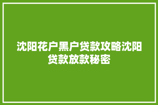 沈阳花户黑户贷款攻略沈阳贷款放款秘密