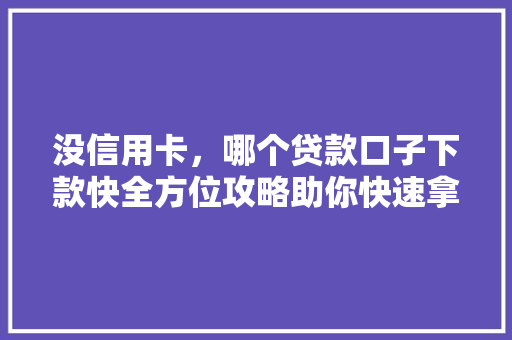 没信用卡，哪个贷款口子下款快全方位攻略助你快速拿钱