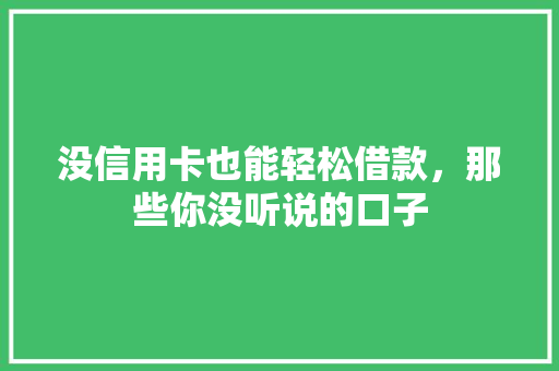 没信用卡也能轻松借款，那些你没听说的口子
