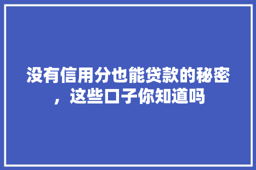 没有信用分也能贷款的秘密，这些口子你知道吗