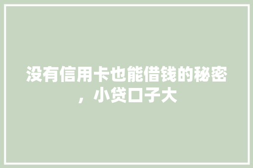 没有信用卡也能借钱的秘密，小贷口子大