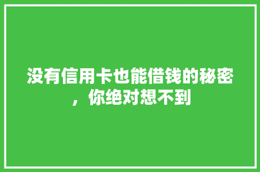 没有信用卡也能借钱的秘密，你绝对想不到