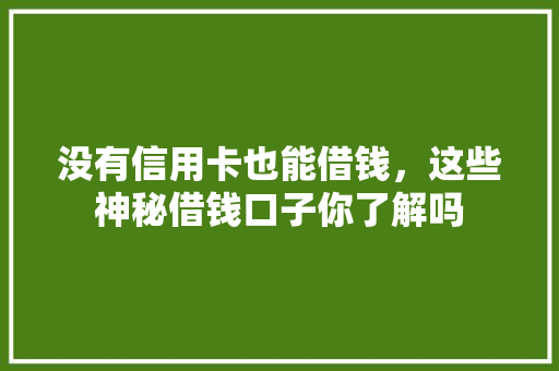 没有信用卡也能借钱，这些神秘借钱口子你了解吗